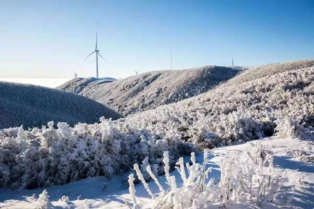 雪后韭菜坪,带你去看凡间仙境!