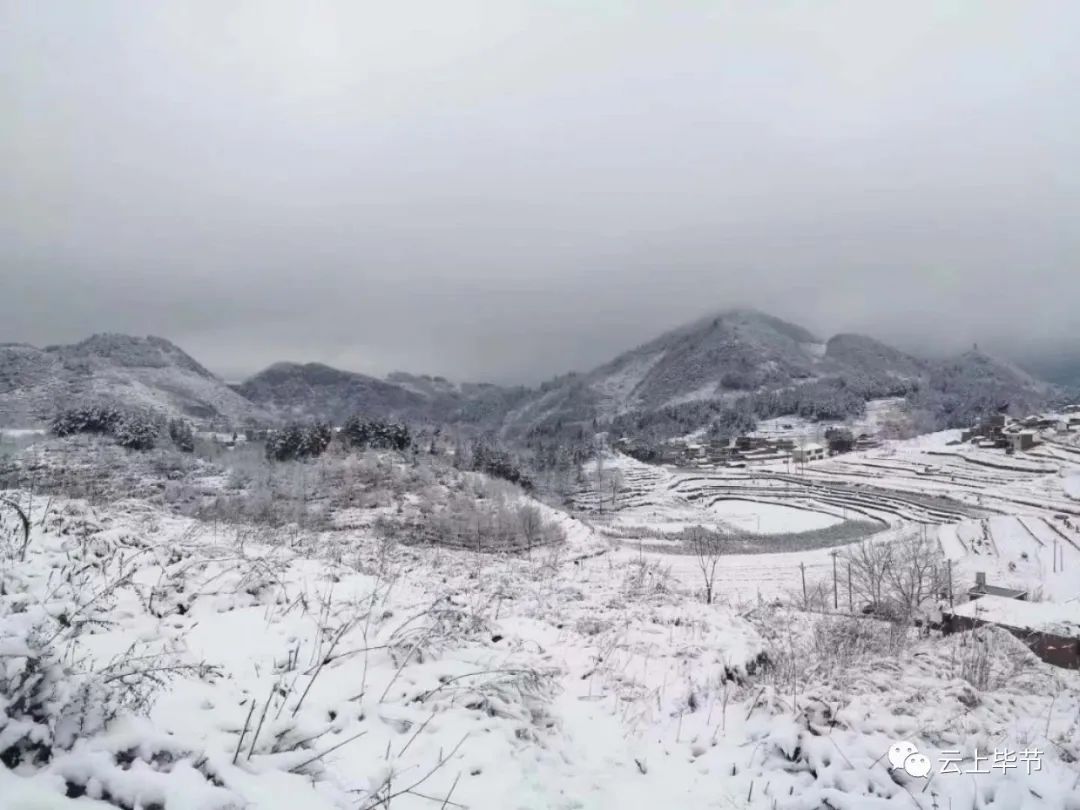 昨晚毕节多地下雪了