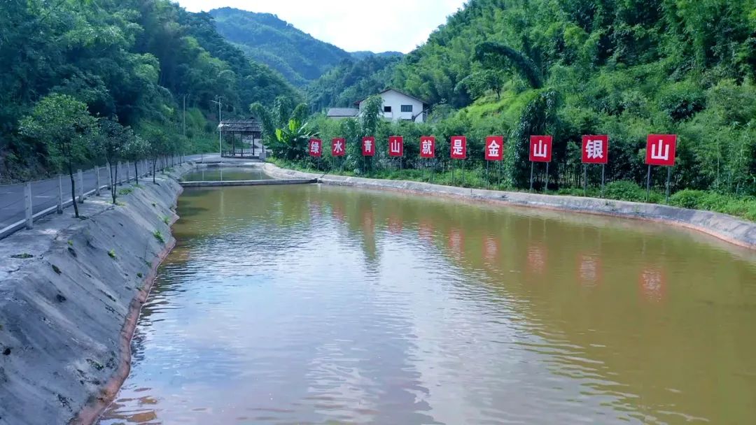 赤水市两河口镇大荣村山沟里建鱼塘烂泥田变聚宝盆