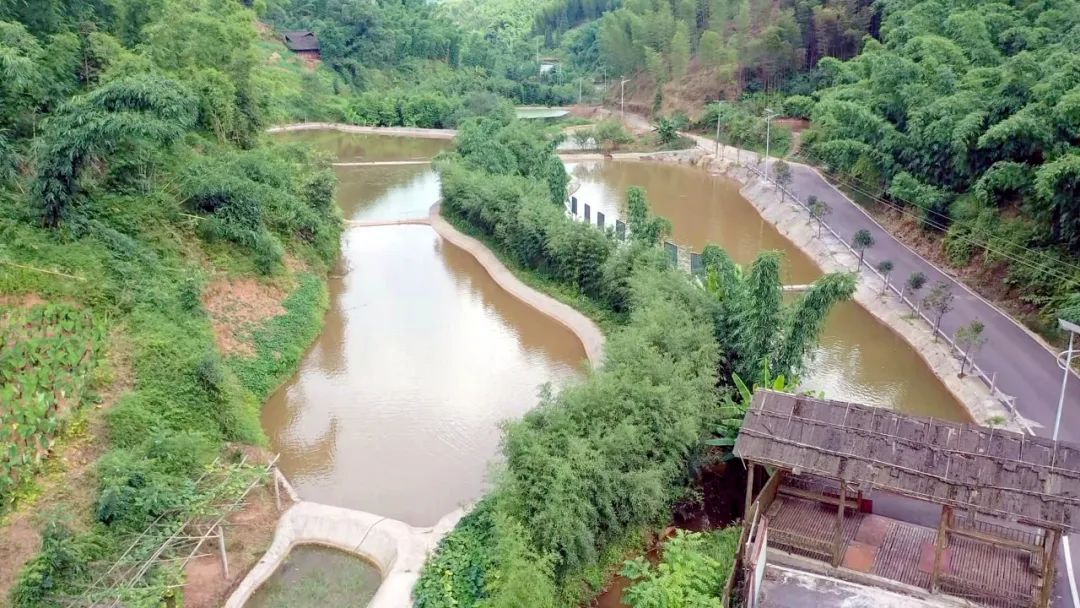 赤水市两河口镇大荣村山沟里建鱼塘烂泥田变聚宝盆