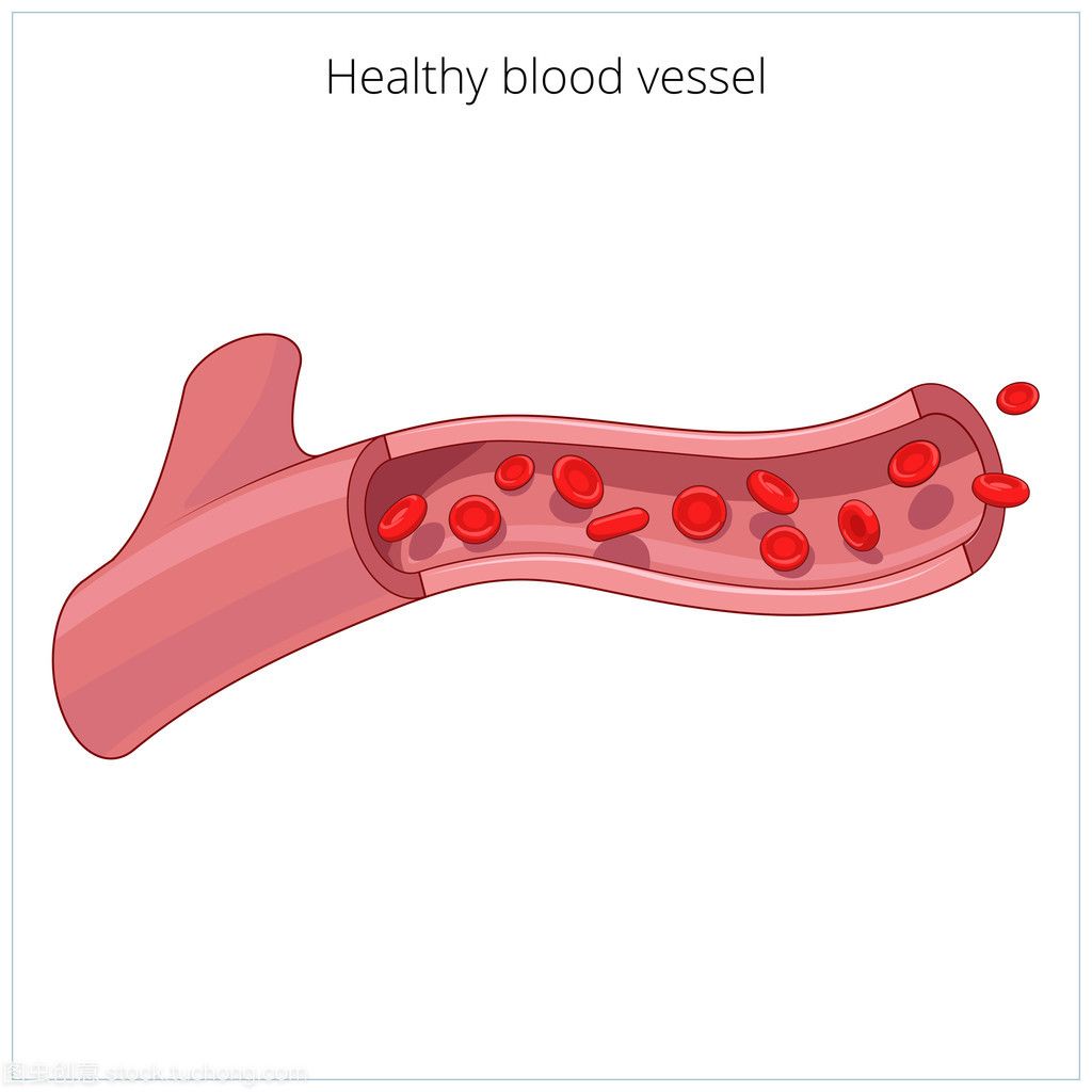 每天做好这些事,正常血管图片血管正常的血管图