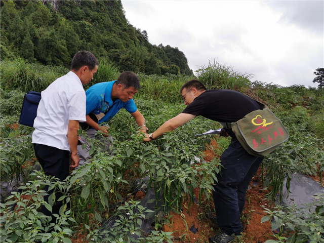 我的扶贫故事 | "挎包书记"唐德龙:走到哪儿包到哪儿,责任便追随到