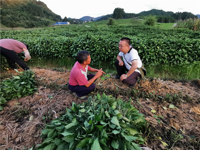 我的扶贫故事 | "挎包书记"唐德龙:走到哪儿包到哪儿,责任便追随到