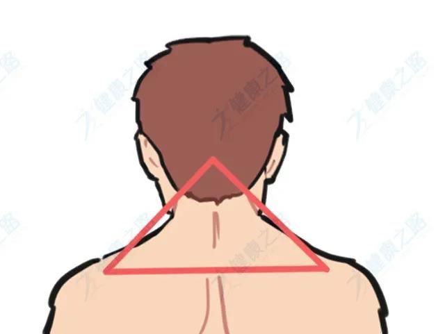 这5个"三角区",容易致病 1,颈部三角区:怕冷怕变形 位置:后颈枕骨往下