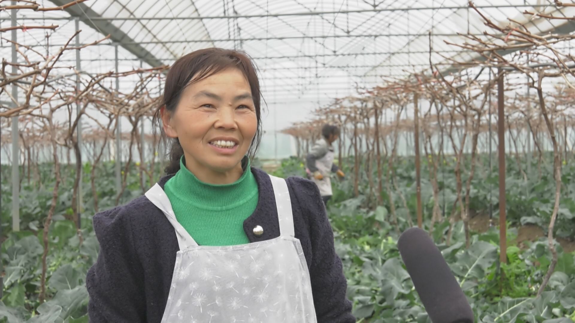 安龙县栖凤街道响乐村村民吴永琼