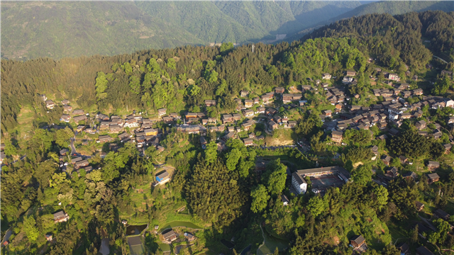 走进乡村看小康|数着一圈圈年轮,探寻百年环保第一村—锦屏县文斗