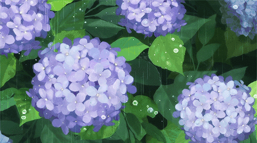 贵州阵雨不断,局地还有大暴雨