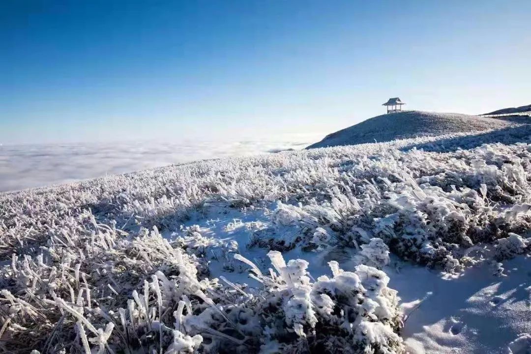 雪后韭菜坪带你去看凡间仙境
