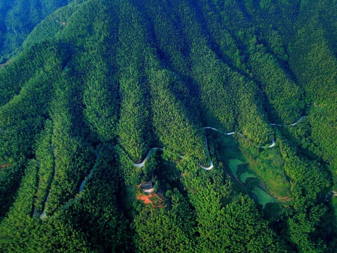 贵州赤水中国竹子之乡的富竹生活