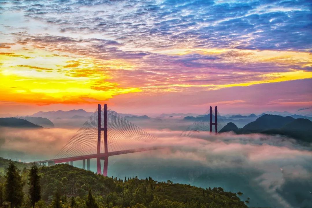 贵州各地区2020年全年gdp_2020年贵州脱贫统计图(3)