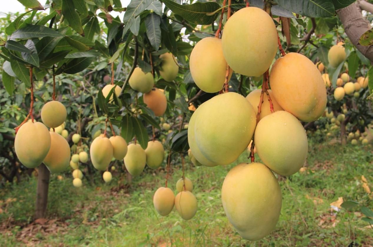 动静听新闻|团聚!全省1443名援鄂医疗队队员全部解除隔离|关注!