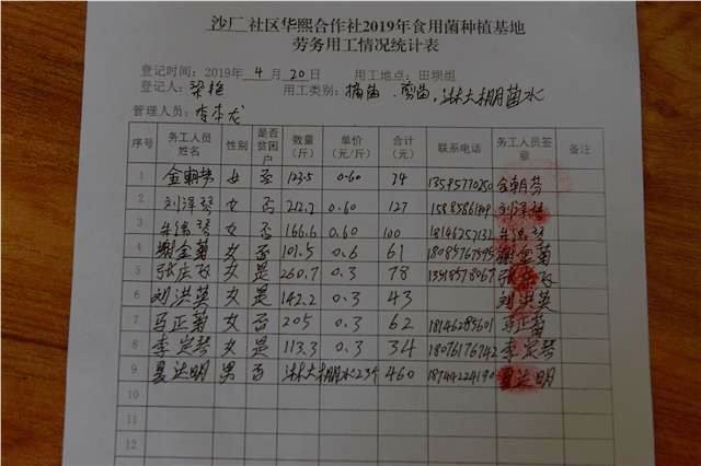 截至目前，基地共有大棚30个，食用菌产量5万余斤，预计收入15万元。 监