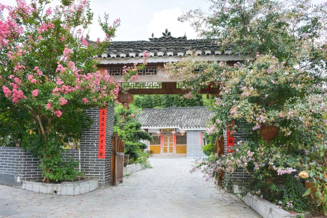 观《花繁叶茂》,来花茂寻觅乡愁