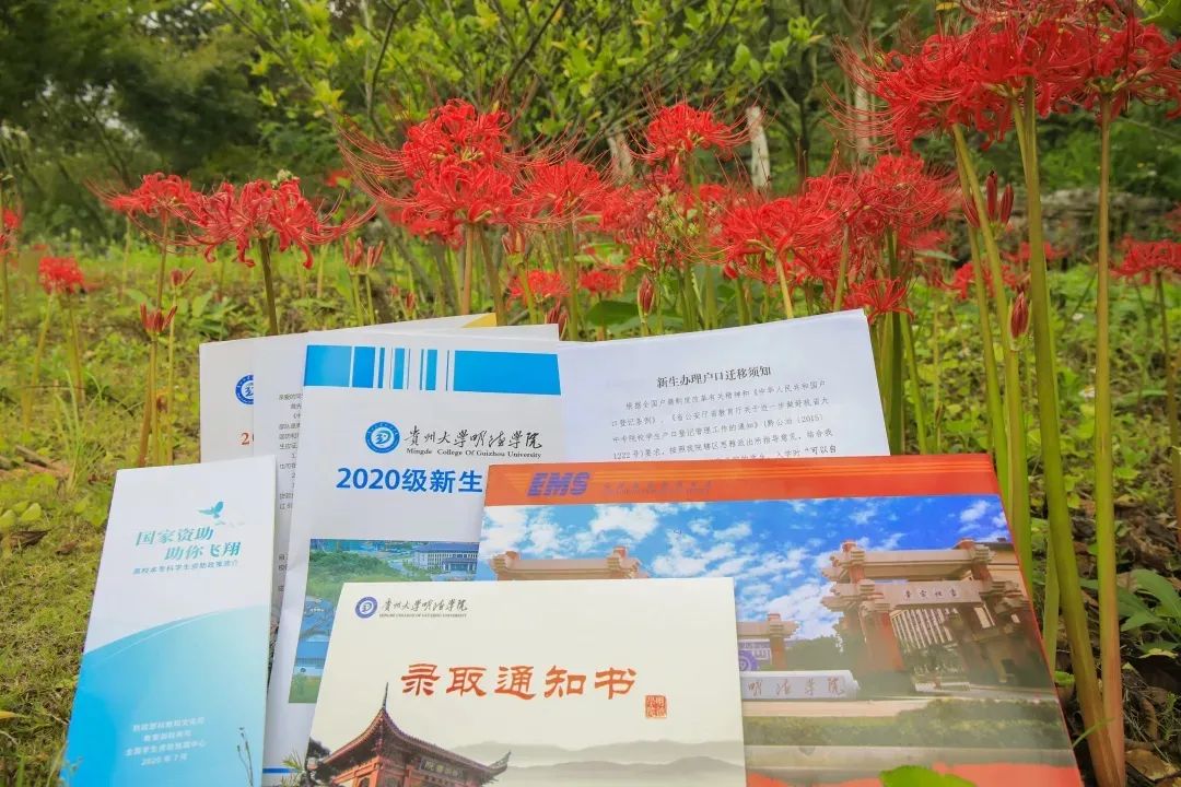 贵州2020高校录取通知书来啦!你最喜欢哪一个?