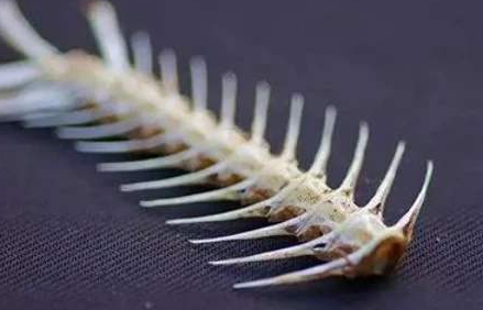 一根鱼刺,让他差点丢了命!