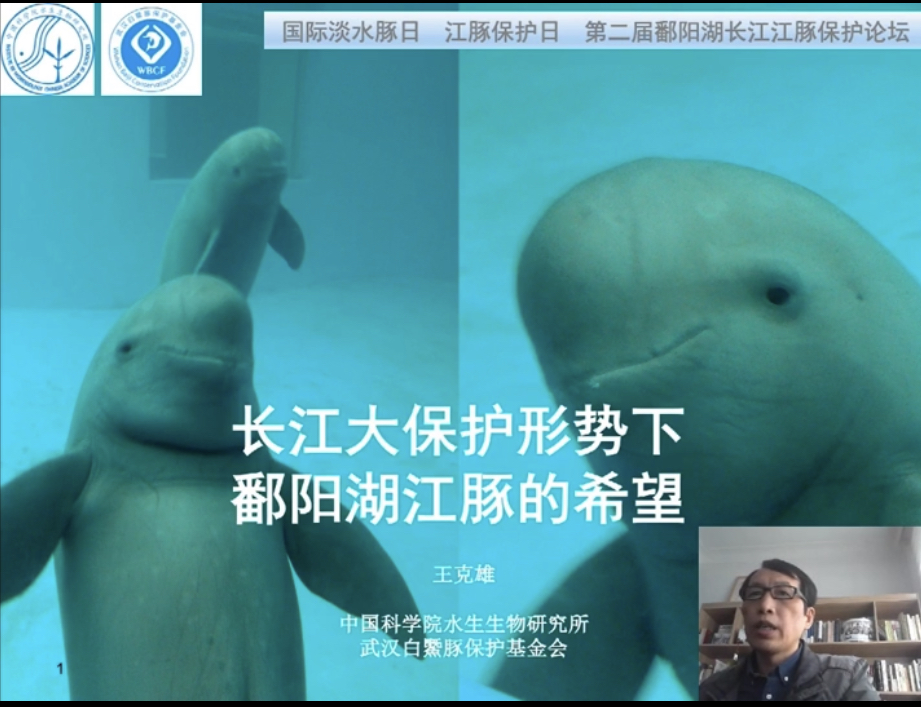 保护江豚在行动--第二届鄱阳湖长江江豚论坛举行