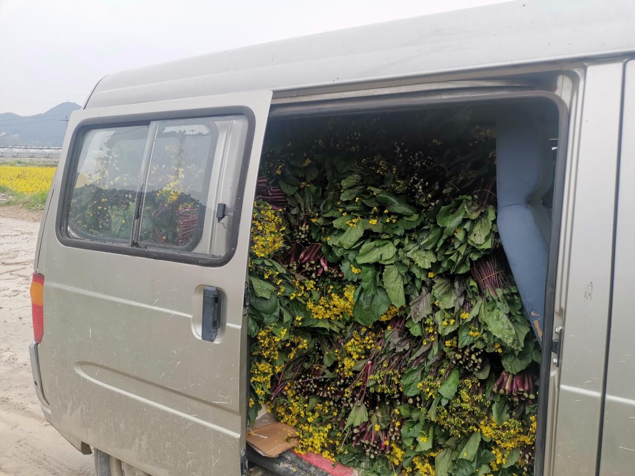 为此,陈鑫还自费花了8000多元,买了辆二手面包车.