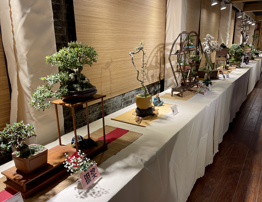 一走进展厅就能看见造型各异的盆景作品陈列在桌上,婀娜多姿,精美绝伦