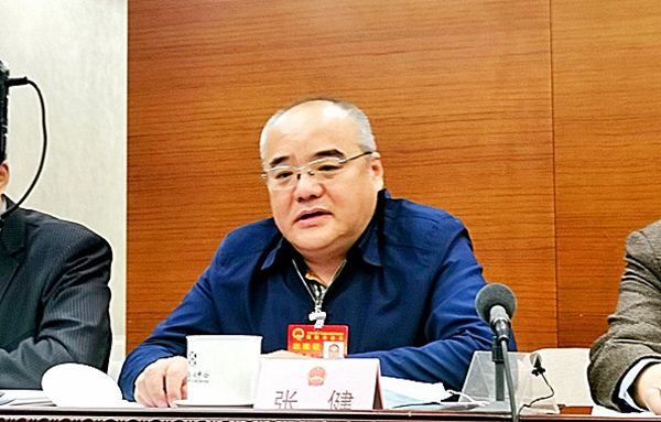 北京市人大代表,北京体育大学党委常委,副校长张健张健表示,体育运动