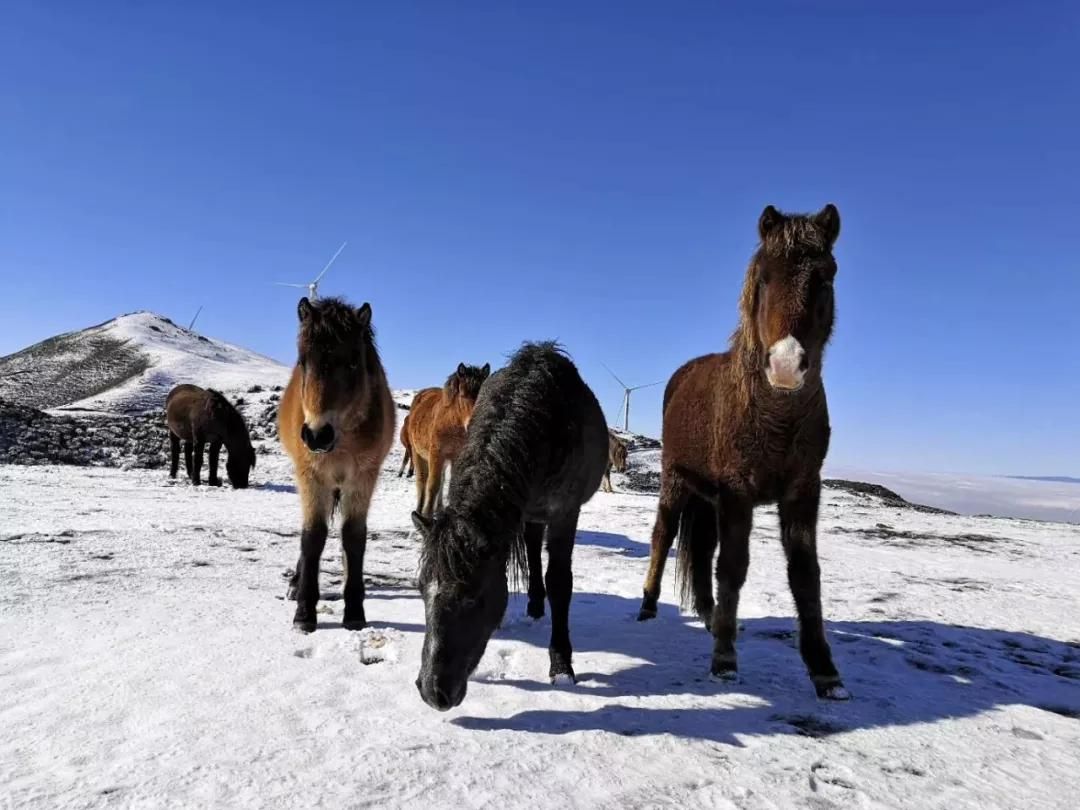 体旅|贵州3大滑雪场已全面开放 等待小伙伴们前来体验北纬26度以南雪