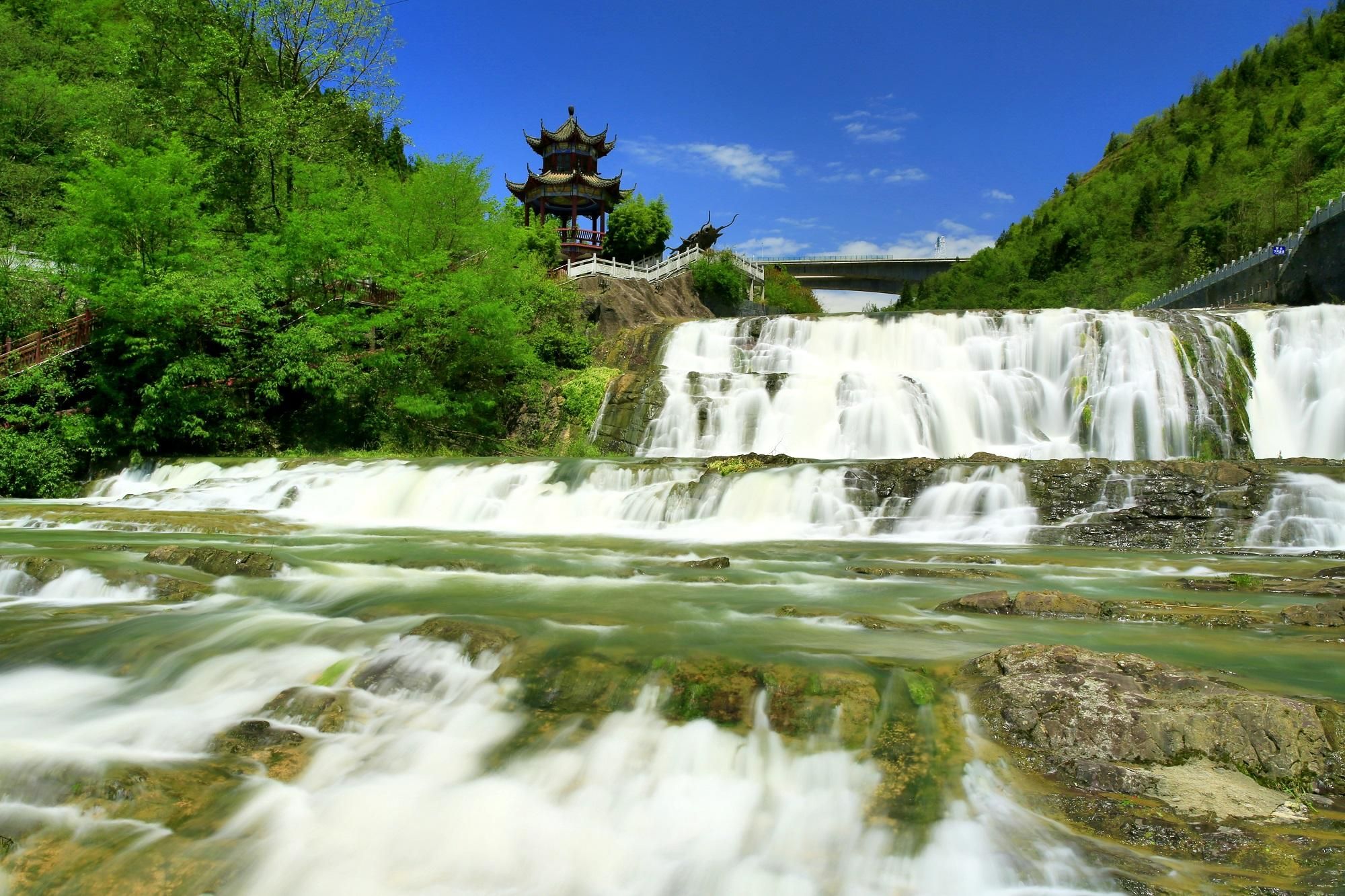 (图片来自七星关区融媒体中心,如侵权请告知删除)