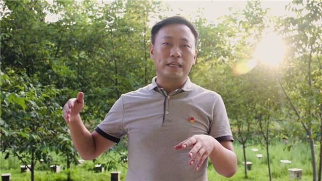 养蜂书记雷鹏飞喊破嗓子不如甩开膀子