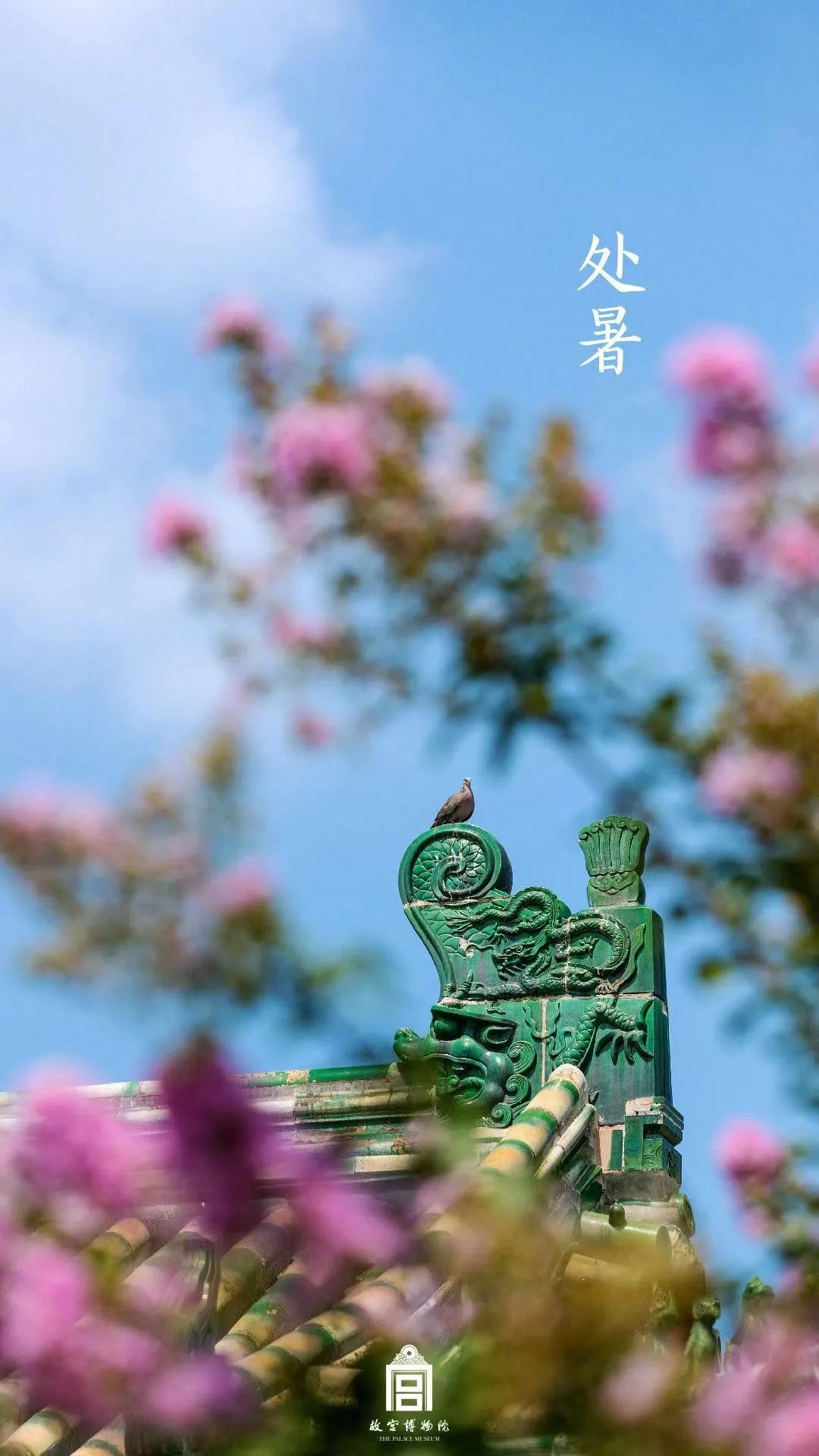 故宫敦煌一年24节气美图