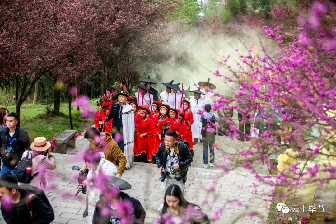 壮观百里杜鹃祭花神多图来袭