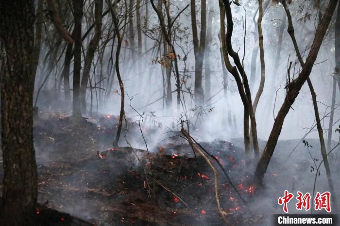 云南禄劝突发森林火灾 千余人紧急扑救
