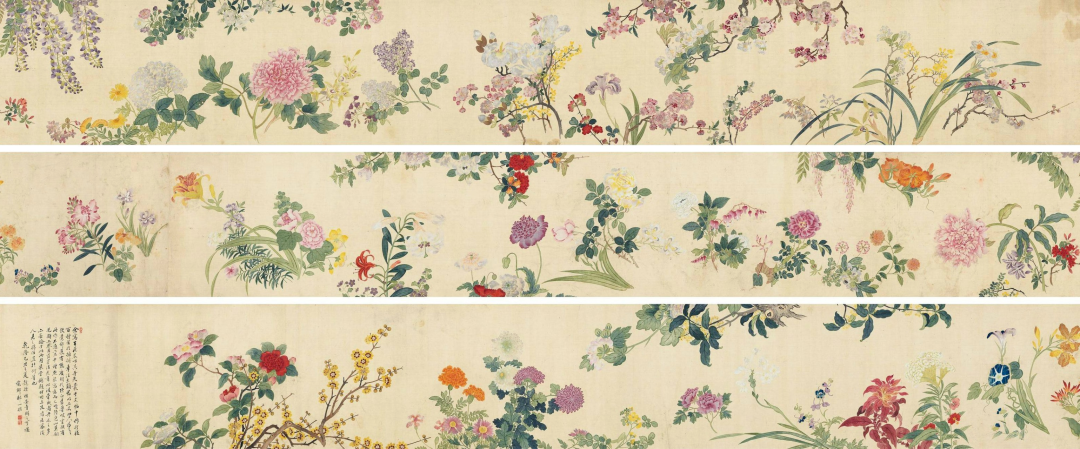 清 邹一桂《百花图卷》