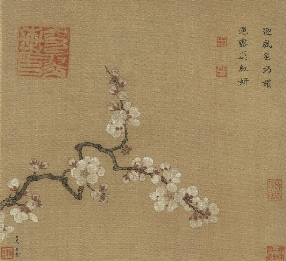 台北故宫博物院藏 看起来朴素轻灵的杏花其实是个爱"打扮"的小姐姐,在