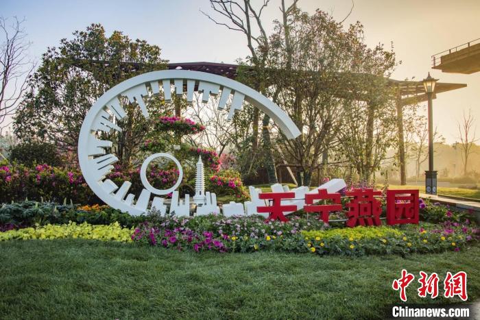 中国杜鹃花展倒计时逾50城齐聚常州运河畔铺陈映山红