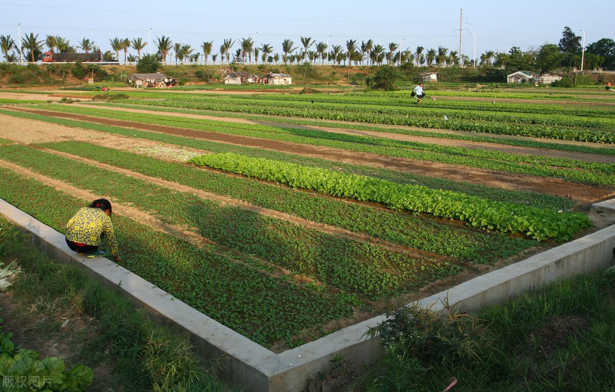 自然资源部严格耕地保护措施补充耕地项目与地块信息首次公开