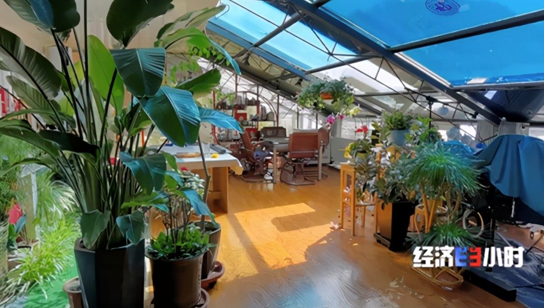 央视曝违规大棚房变木屋别墅!15万元木屋别墅,无房屋出售出租资质