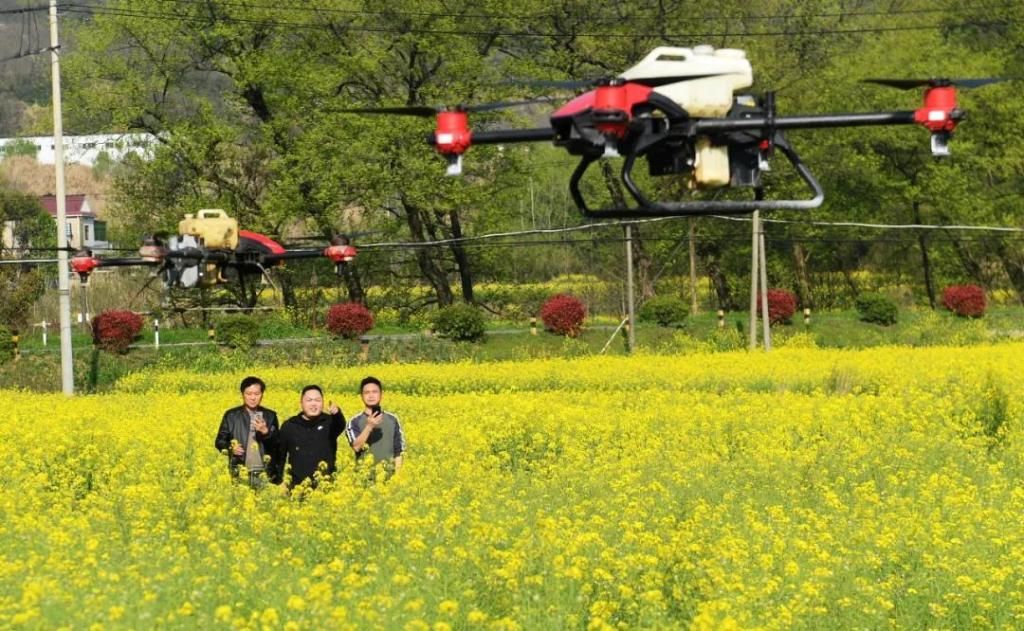 陆克涛带着无人机植保飞防小队,奔走于安徽省铜陵市义安区各个乡镇.