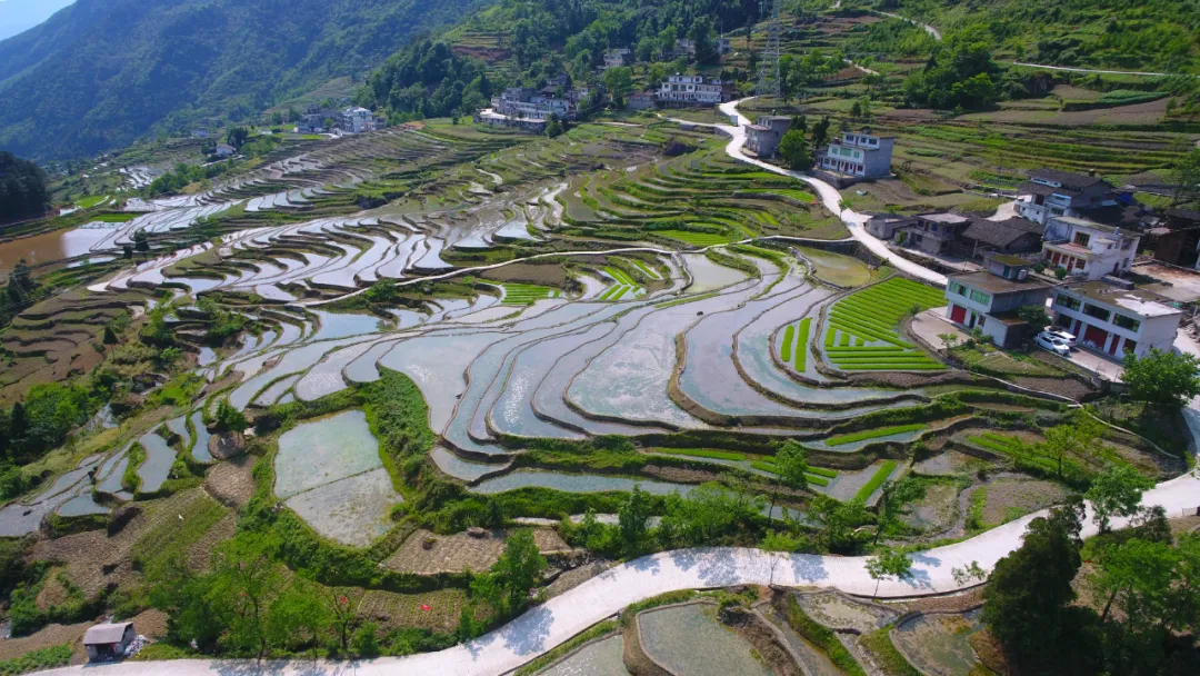 航拍带您看桐梓尧龙山梯田，镶嵌在山间的镜子