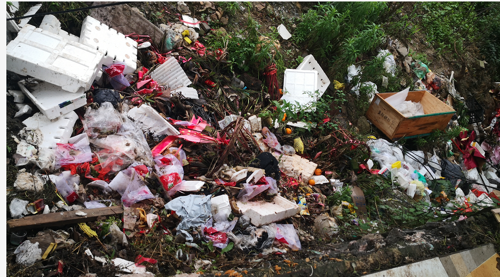 真臭!太臭了!谁来清理路边的这些生活垃圾