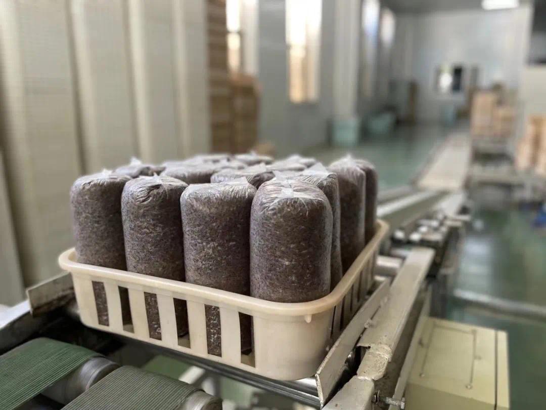 依托梵净山得天独厚的自然资源优势,贵州省梵天菌业公司以黑木耳菌包