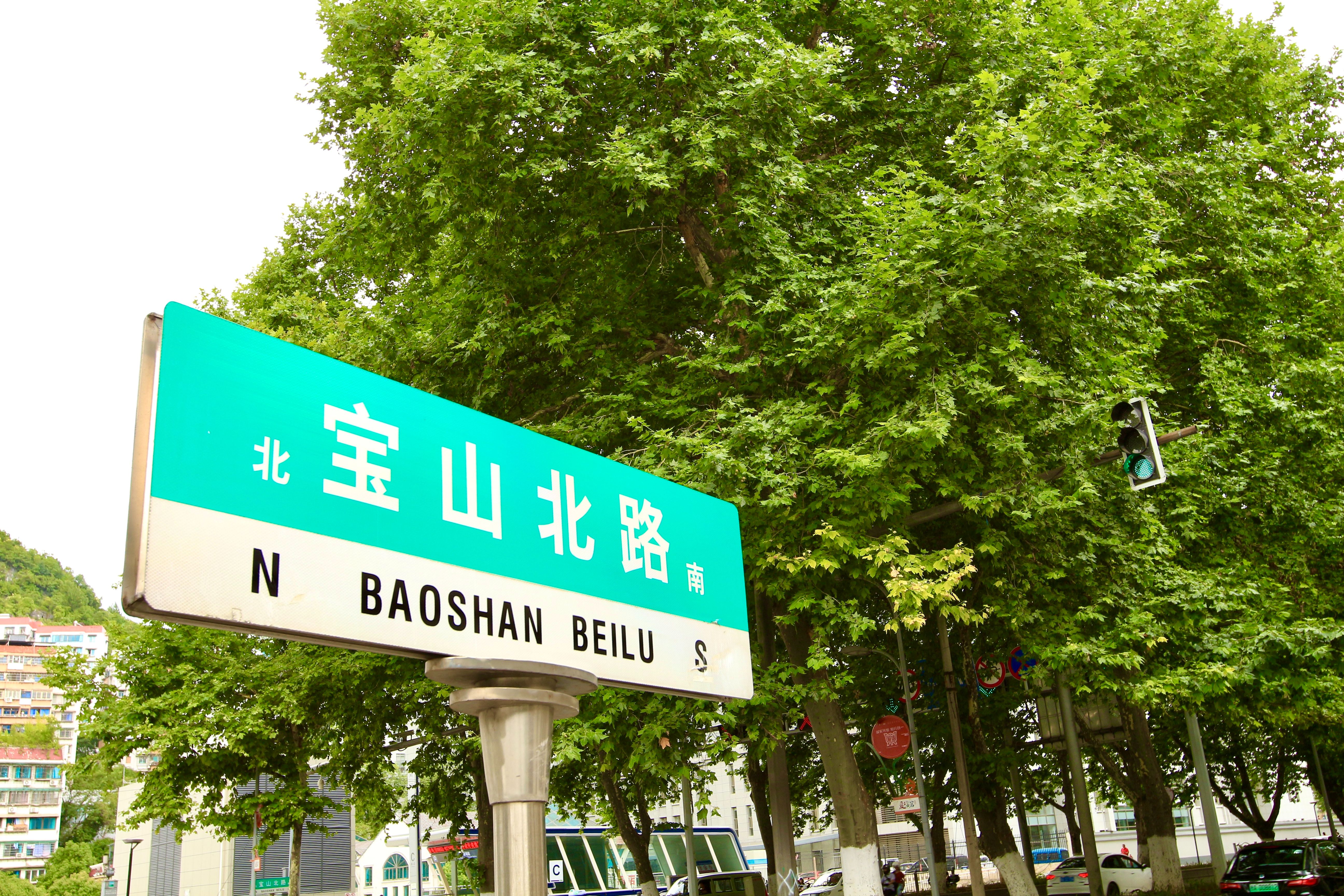 搭一辆公交看林城美景丨宝山南路