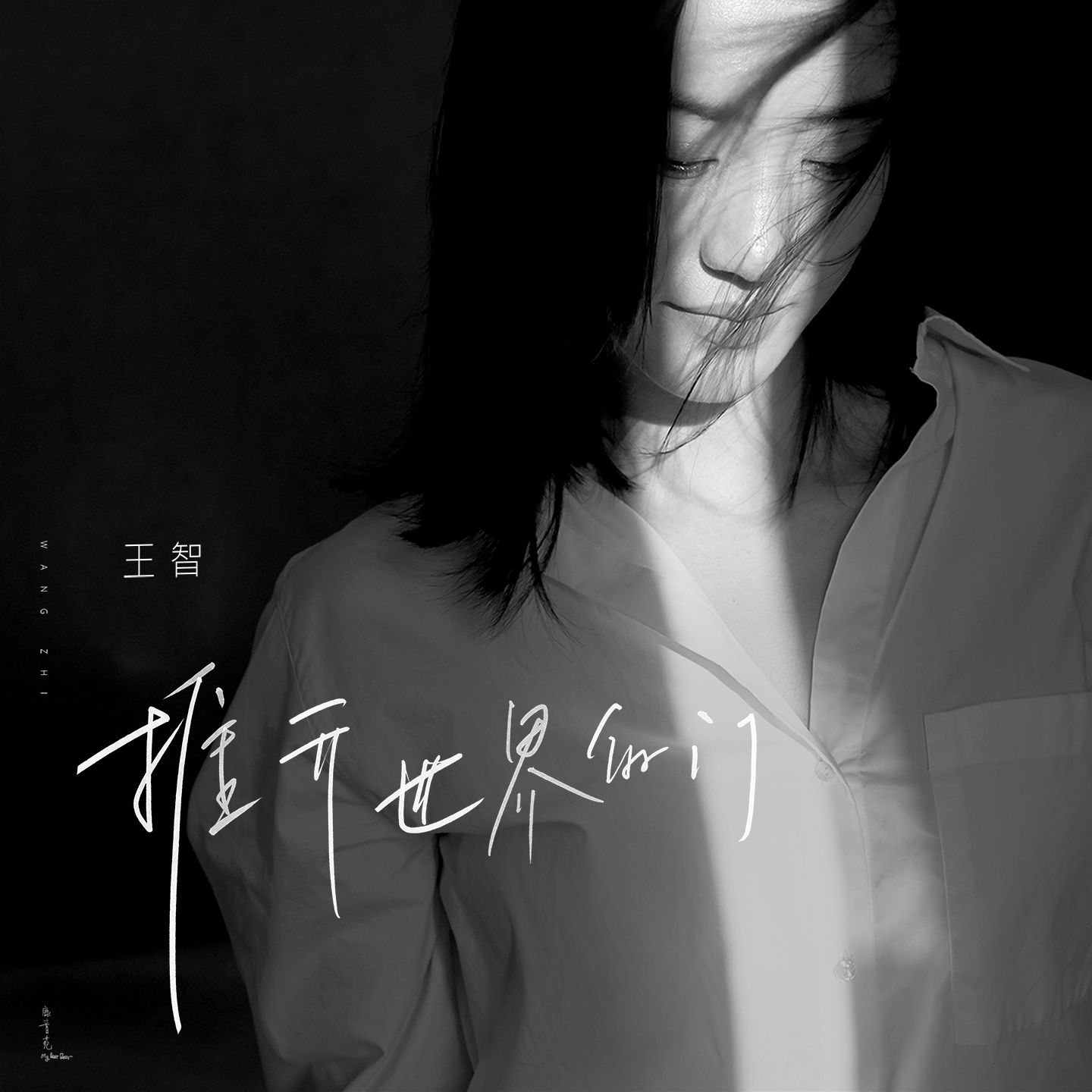 法文字母写法_法文_法文译中文
