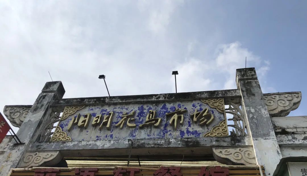 再见!贵阳阳明花鸟市场!