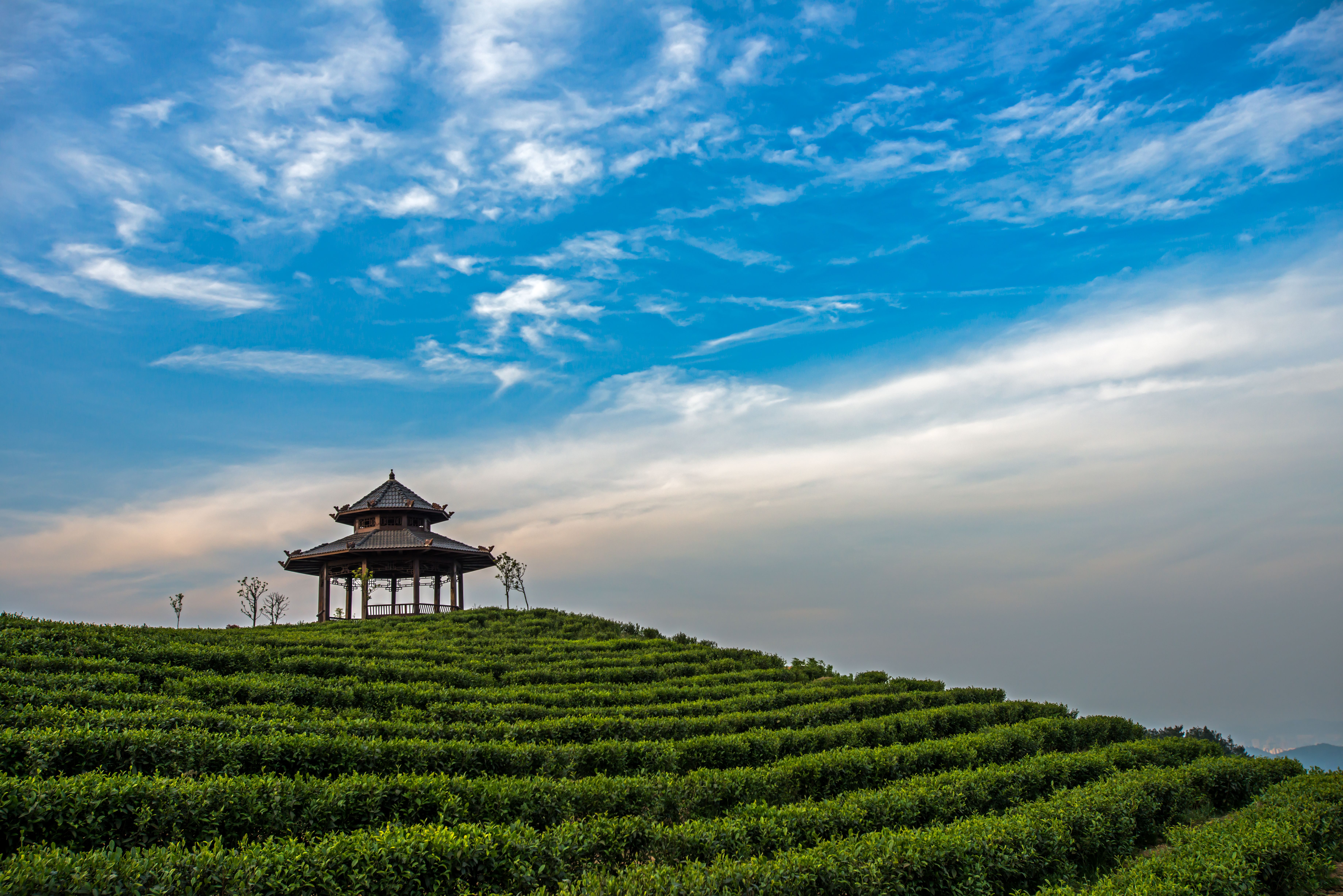 花溪地铁旅游专列包车在广州佛山线地铁清凉登场