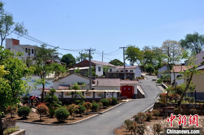 枣阳市王城镇美丽乡村一角 王城镇政府提供