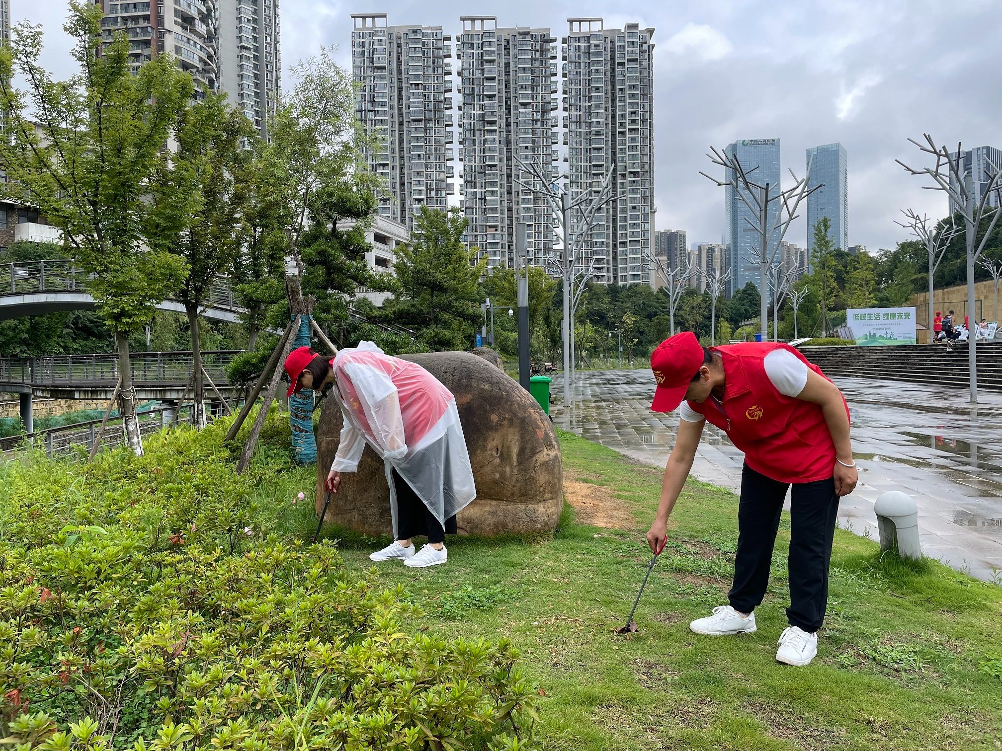 低碳实践活动照片图片