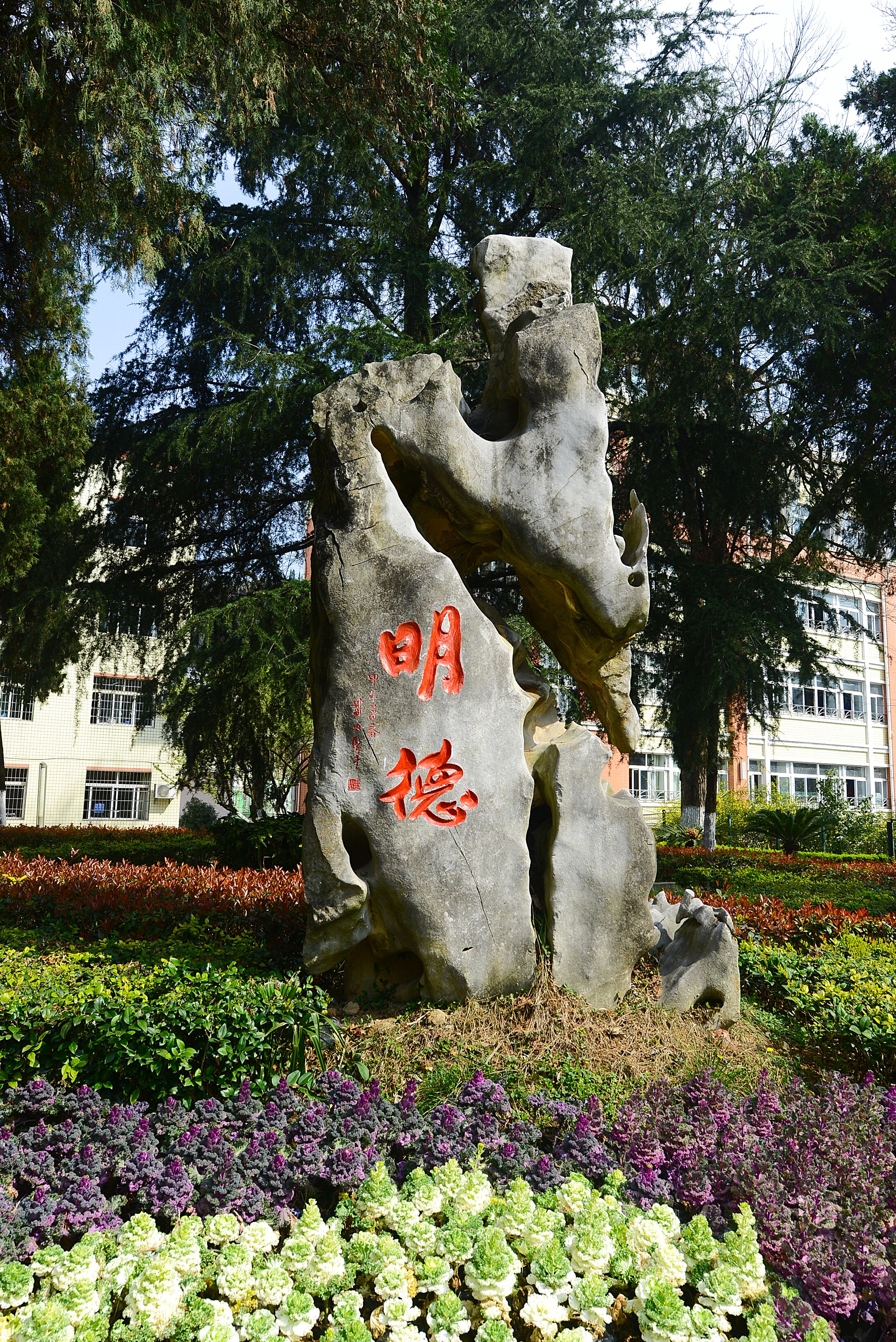 不止领先追求卓越贵州省安顺市实验学校