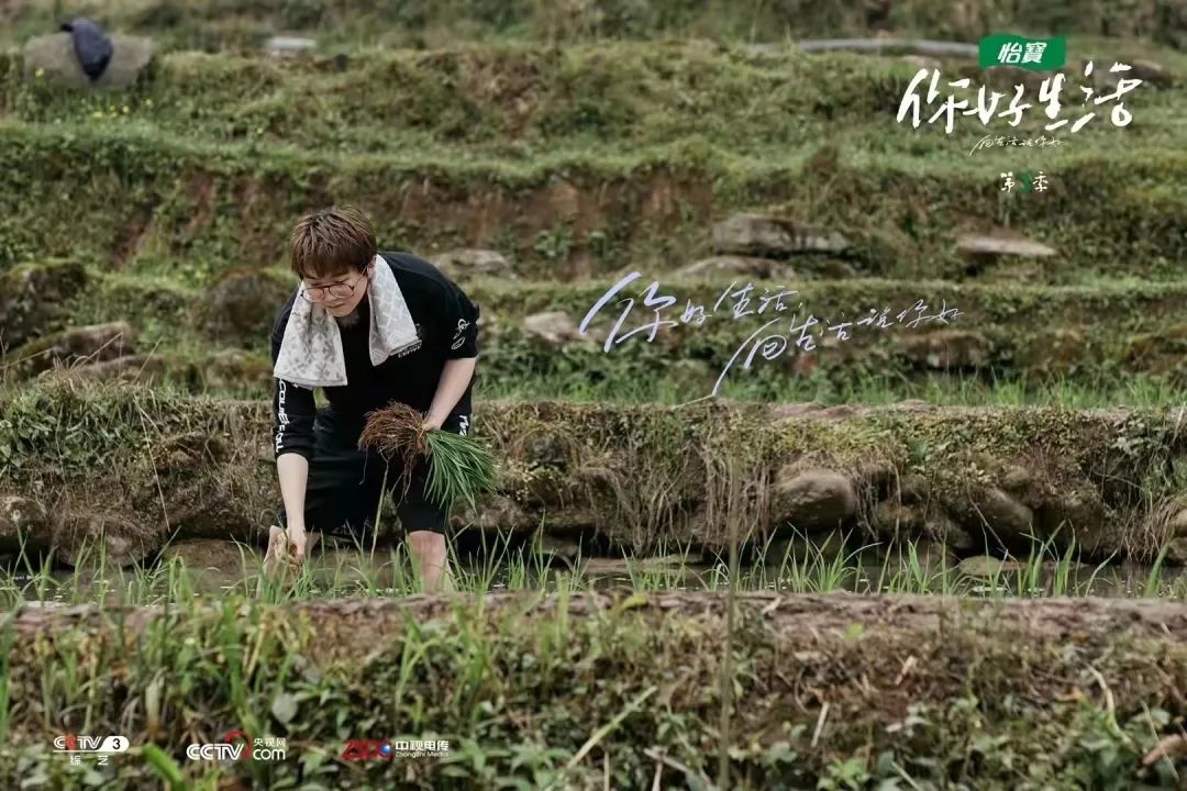 贵州这个世外桃源藏不住了快来跟着你好生活剧组打卡隐居乡里梧桐山