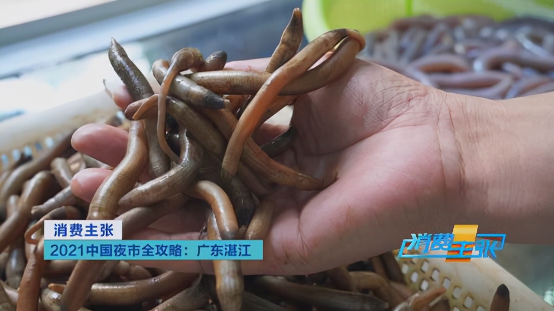 生蚝章鱼沙虾骨鳝来中国海鲜美食之都广东湛江照着这个吃就对了