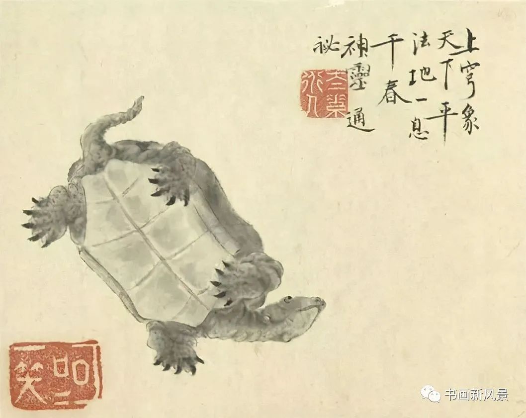 这幅《龟》,就是一幅神奇之作,其呈现的视角相当特别,乌龟四爪支棱