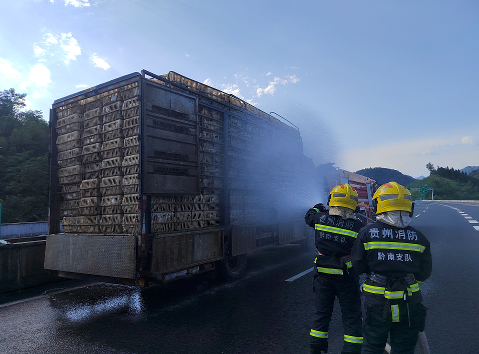 据驾驶员介绍,车上载的鸭子共有2000只,从广东湛江运往贵阳,在经过