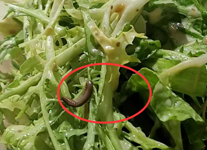 沙拉里吃到蚯蚓女子太恶心不要赔偿只要曝光